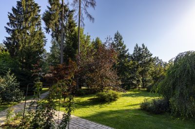 photo 68da61ab7fc14_thumb.jpg