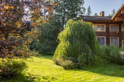 photo 68da621b82ff2_thumb.jpg