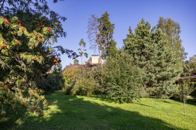 photo 68da624ca9159_thumb.jpg