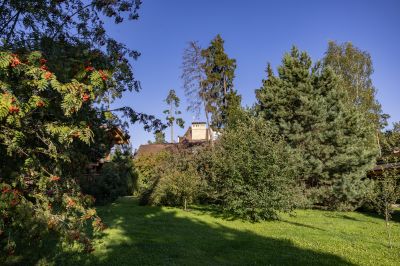 photo 68da624dadf26_thumb.jpg