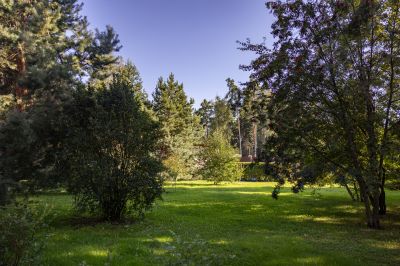 photo 68da6252a9c15_thumb.jpg