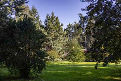 photo 68da625392722_thumb.jpg