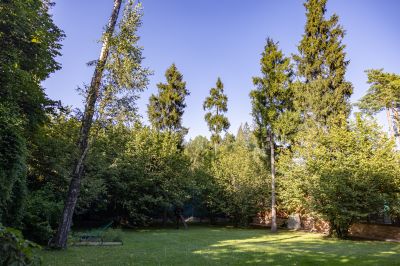 photo 68da625476e07_thumb.jpg