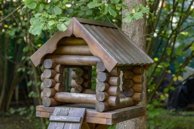 photo 68da62559aa9a_thumb.jpg