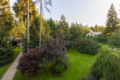 photo 68da6831a501e_thumb.jpg