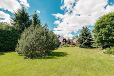 photo 68da81af6e7ab_thumb.jpg