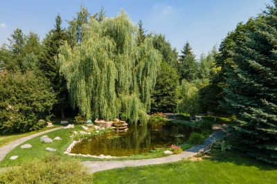 photo 68da850ae7934_thumb.jpg