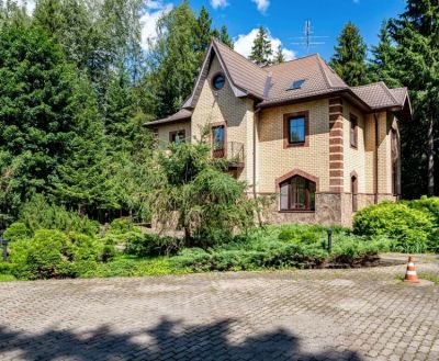 photo 68dba638ea36c_thumb.jpg