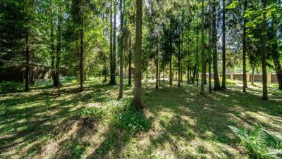 photo 68dba63ae8d09_thumb.jpg