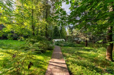 photo 68dbae3e339fd_thumb.jpg