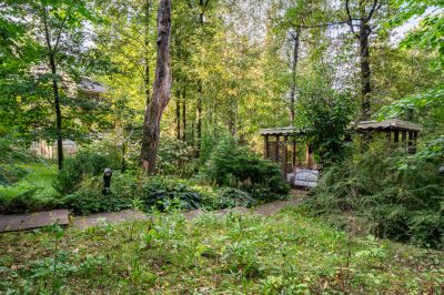 photo 68dbae3f20cb0_thumb.jpg