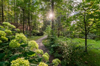 photo 68dbae3f807f7_thumb.jpg