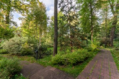 photo 68dbae3fc7f7e_thumb.jpg