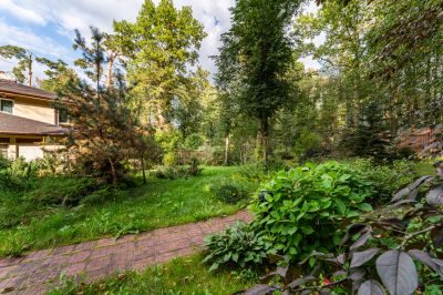 photo 68dbae40b9bb4_thumb.jpg