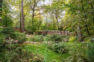 photo 68dbae4274ab1_thumb.jpg