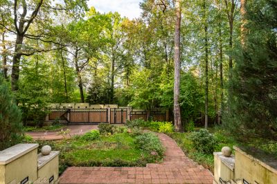 photo 68dbae430a34f_thumb.jpg