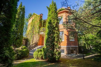 photo 68de53fc62c28_thumb.jpg