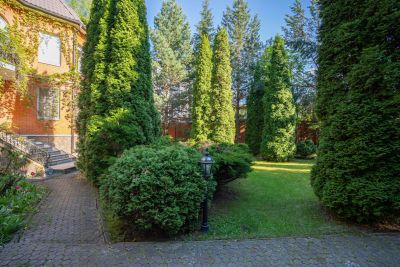 photo 68de547a946c2_thumb.jpg