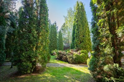 photo 68de547c31ce5_thumb.jpg