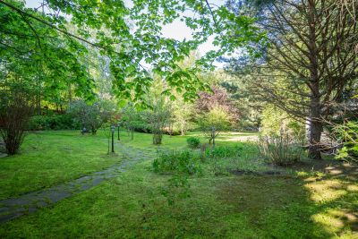 photo 68de547d9e4a5_thumb.jpg