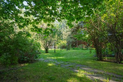 photo 68de54a1363a6_thumb.jpg