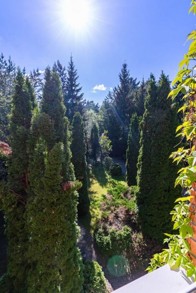 photo 68de54bc02637_thumb.jpg