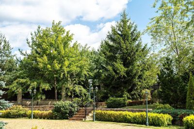 photo 68dbe43810e10_thumb.jpg