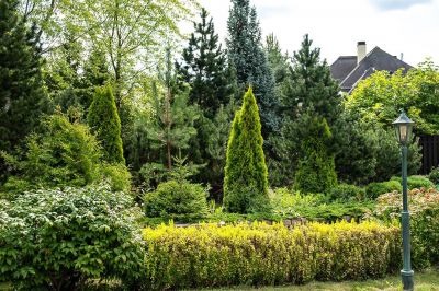 photo 68dbe46805dc9_thumb.jpg