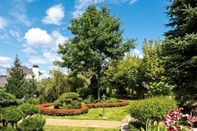 photo 68dbe4685ea99_thumb.jpg