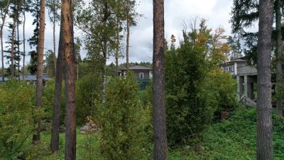 photo 68dd272a1c3d3_thumb.jpg