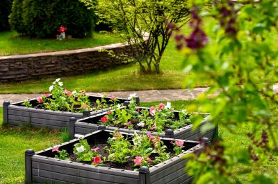 photo 68dd354499611_thumb.jpg