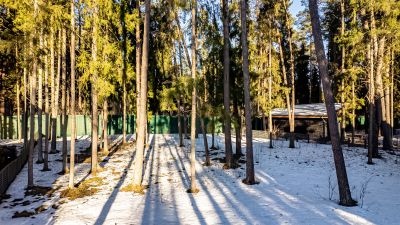 photo 69cb848471e60_thumb.jpg