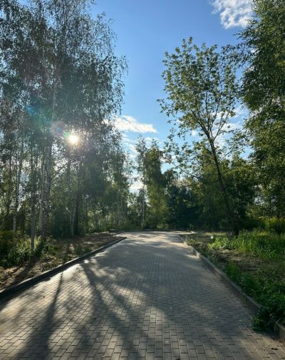 photo 68de61925ad3b_thumb.jpg