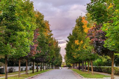 photo 68de65ae43c73_thumb.jpg