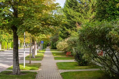 photo 68de65af2053b_thumb.jpg