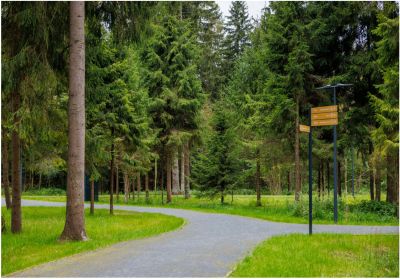 photo 68de83dc107bd_thumb.jpg