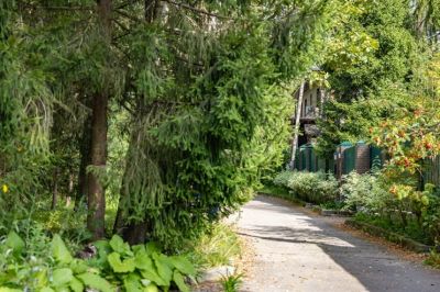 photo 68de8bbec50a2_thumb.jpg