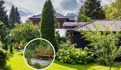 photo 68de8bcc7b2b7_thumb.jpg