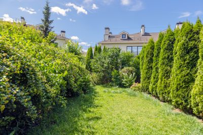 photo 68dfa7237c057_thumb.jpg