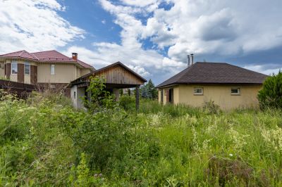 photo 68dfad2c598e8_thumb.jpg