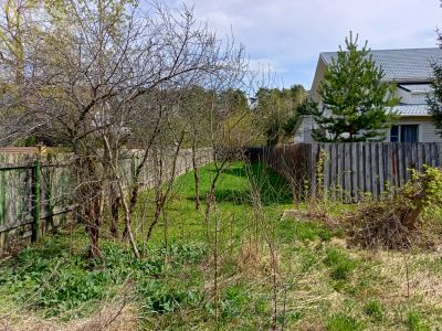 photo 68e40a256d4ca_thumb.jpg