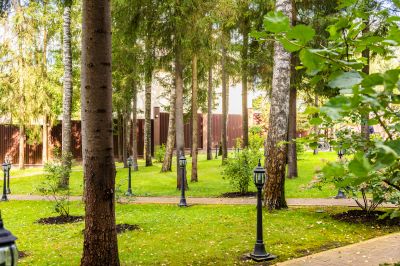 photo 68e4e1e9ece2a_thumb.jpg