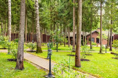 photo 68e4e1ef7f7a8_thumb.jpg