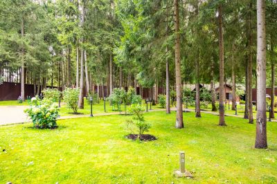 photo 68e4e2273c65c_thumb.jpg