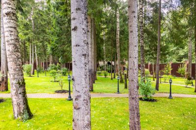 photo 68e4e22976714_thumb.jpg