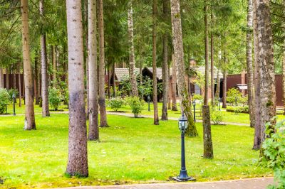 photo 68e4e22aa83a1_thumb.jpg