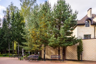 photo 68e4e23055e84_thumb.jpg