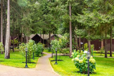 photo 68e4e250d9d8a_thumb.jpg