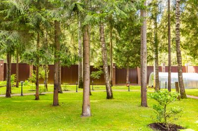 photo 68e4e2533e8a5_thumb.jpg