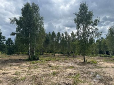 photo 68e5212499f4d_thumb.jpg